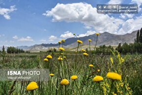 تصاویر | منطقه ییلاقی «دشت سفید»