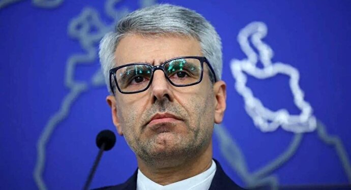 فیلم | بقایی: نگران تبعات فعال شدن مکانیسم ماشه هستیم