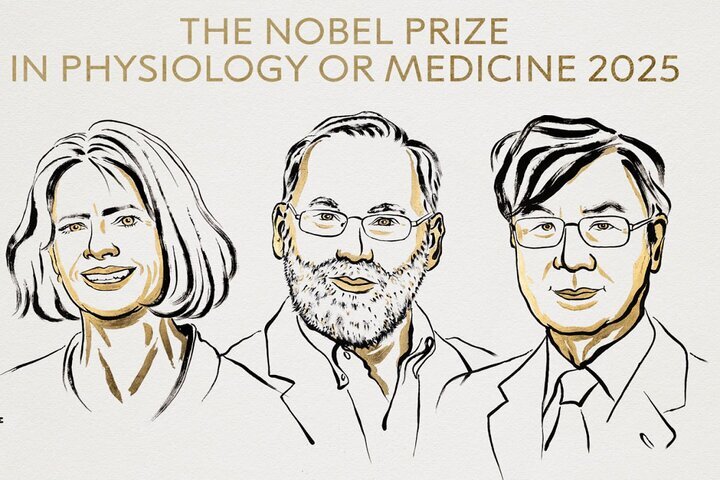 برندگان جایزه نوبل پزشکی ۲۰۲۵ معرفی شدند+ عکس