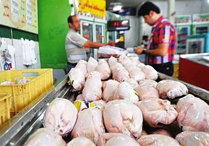 فیلم | حباب به مرغ هم رسید؛ ادعای مدیر اتحادیه مرغداران از میزان حباب قیمتی مرغ!