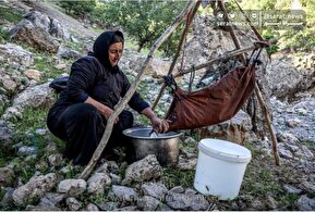 تصاویر | زندگی عشایری