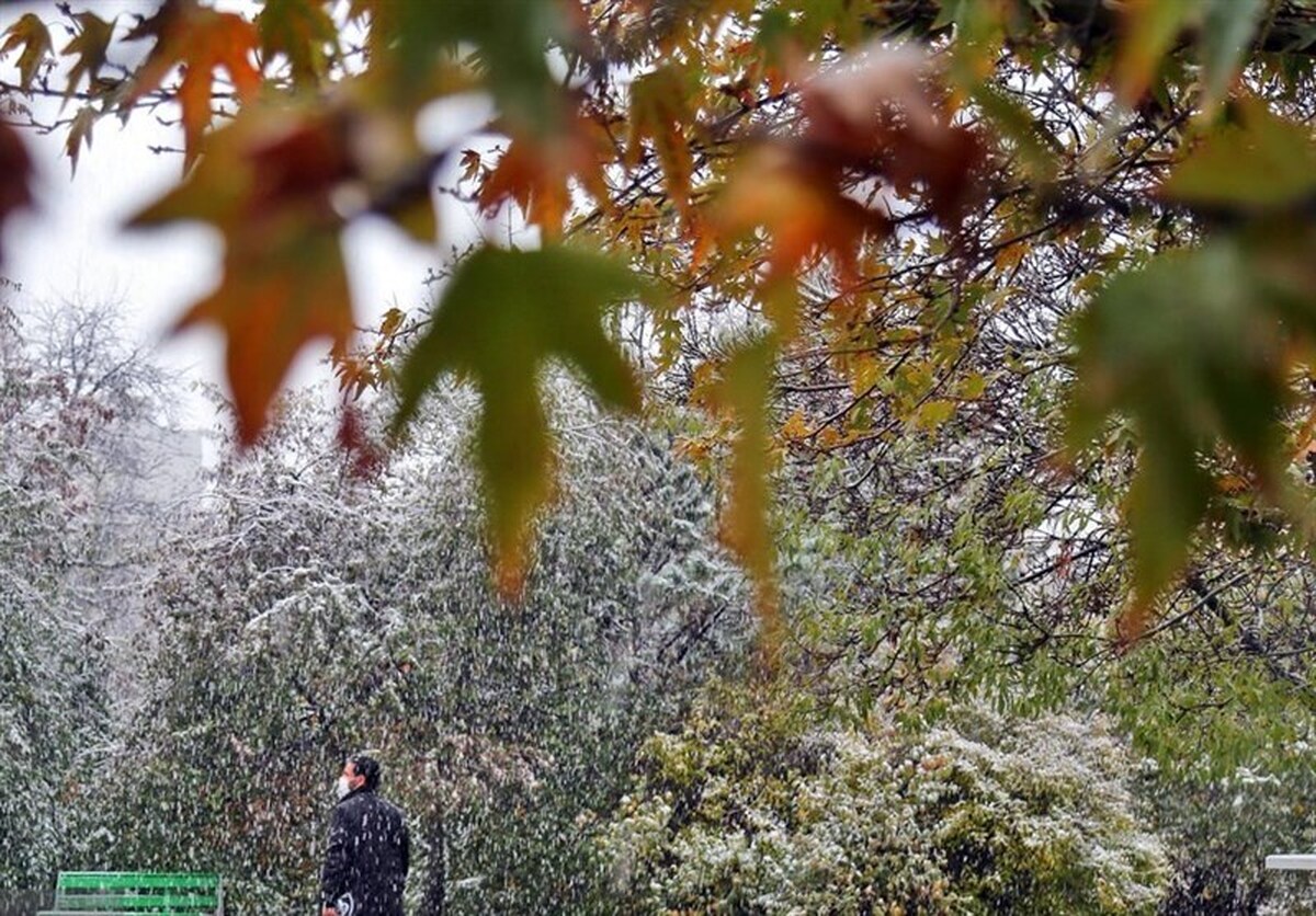 هواشناسی ایران امروز سه شنبه 15 مهر 1404؛ افزایش دما در نوار شمالی کشور