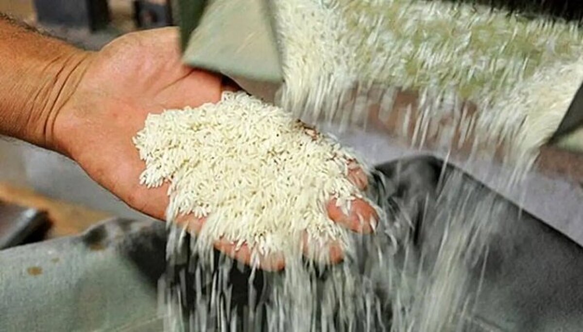 برنج هندی و پاکستانی کیلویی چند؟