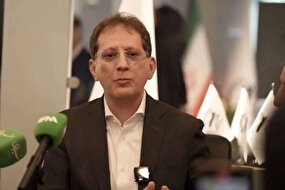 پرونده بانک زنجانی دارای نقاط مبهم است؛ تعیین تکلیف شود