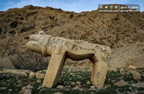 تصاویر | مرگ آرام شیرهای سنگی