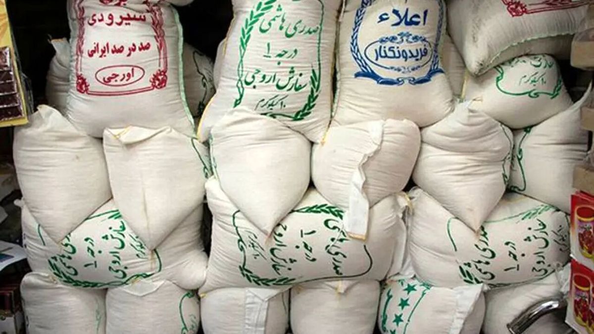 برنج ایرانی ارزان می‌شود؟