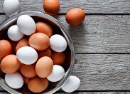 «تخم‌مرغ قهوه‌ای» بهتر است یا «تخم‌مرغ سفید»؟