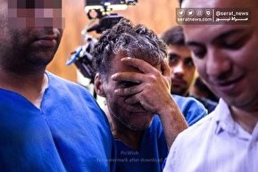 تصاویر| دستگیری سارقان خشن در تهران