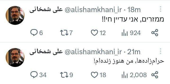 واکنش شمخانی به زبان عبری هم به حواشی فیلم عروسی دخترش+ عکس