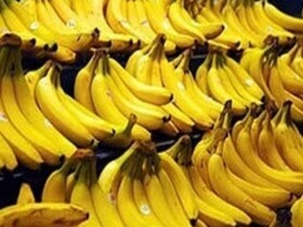 ثبت سفارش موز، قهوه و دانه کنجد فردا آغاز می‌شود