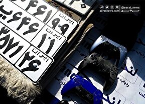 دستگیری ۲۷۰ سارق و مالخر تهران