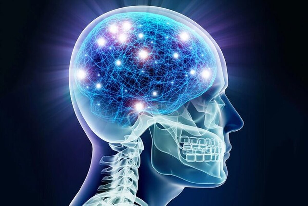 چند روش  برای اینکه مغزتان مثل موتور جت فعال شود!