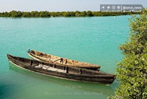 تصاویر| جنگل حرا سهیلی؛ شگفتی سبز قشم