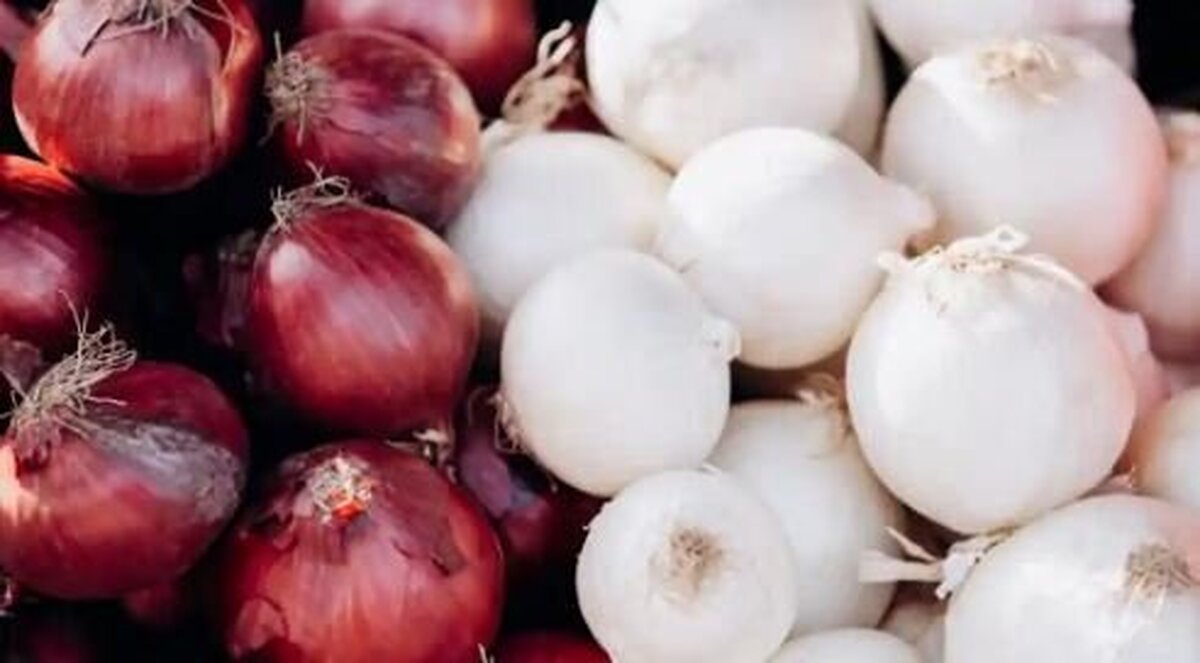 پیاز سفید بخوریم یا قرمز؟