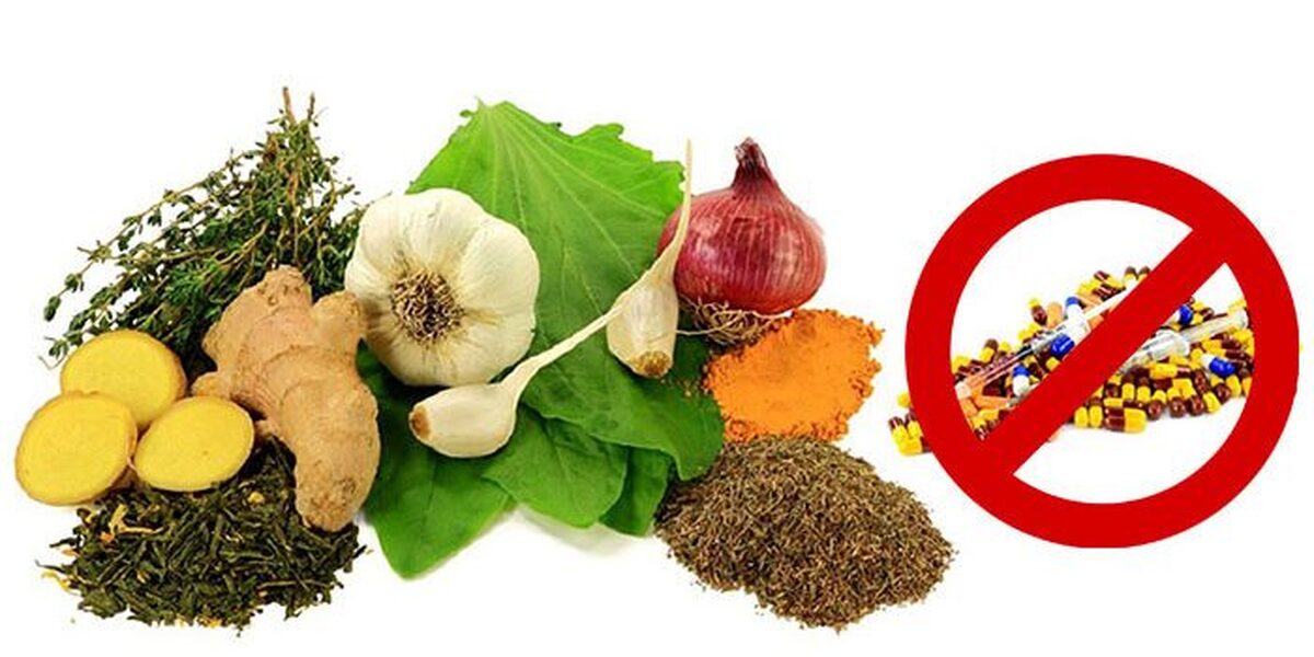 بعد از این غذاها آنتی بیوتیک نخورید