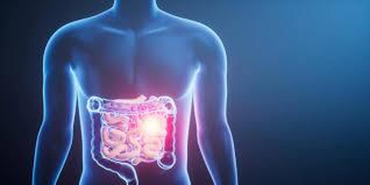 با رعایت این موارد روده شما فول انرژی می شود