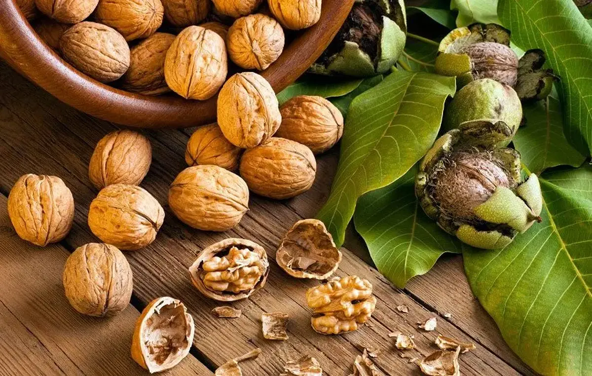 از امروز شب ها گردو بخورید تا معجزه آن را ببینید