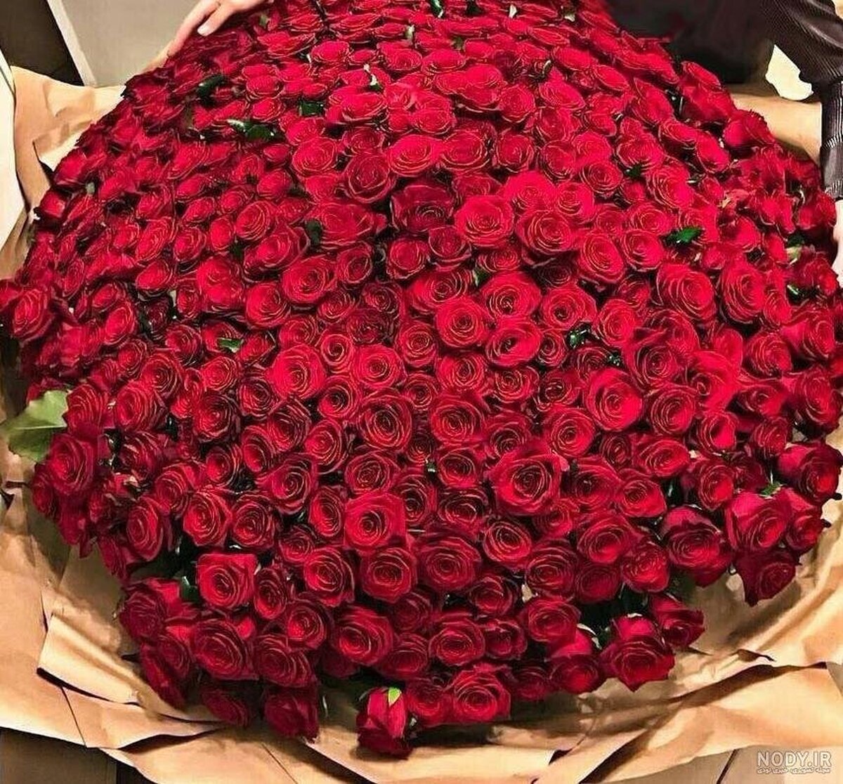 نمایش جدید تازه به دوران رسیده‌ها