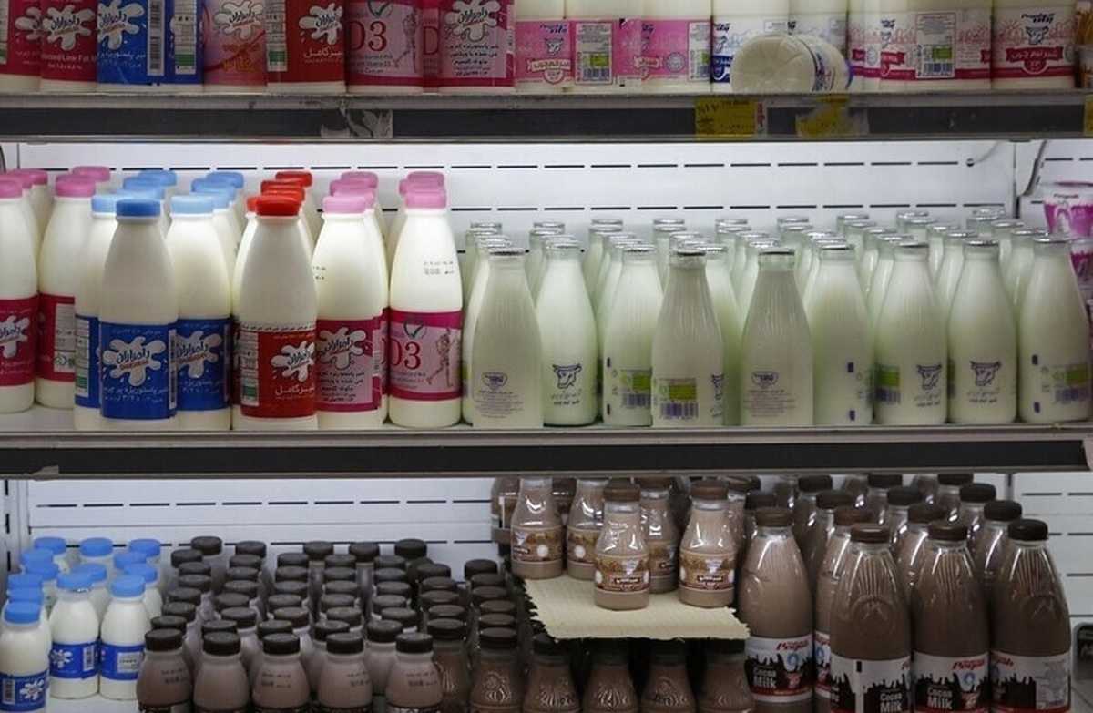 نوبت به گرانی شیر و ماست رسید