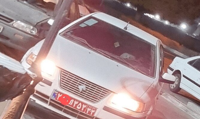 تشکیل پرونده قضایی برای عامل سگ‌گردانی با خودروی دولتی