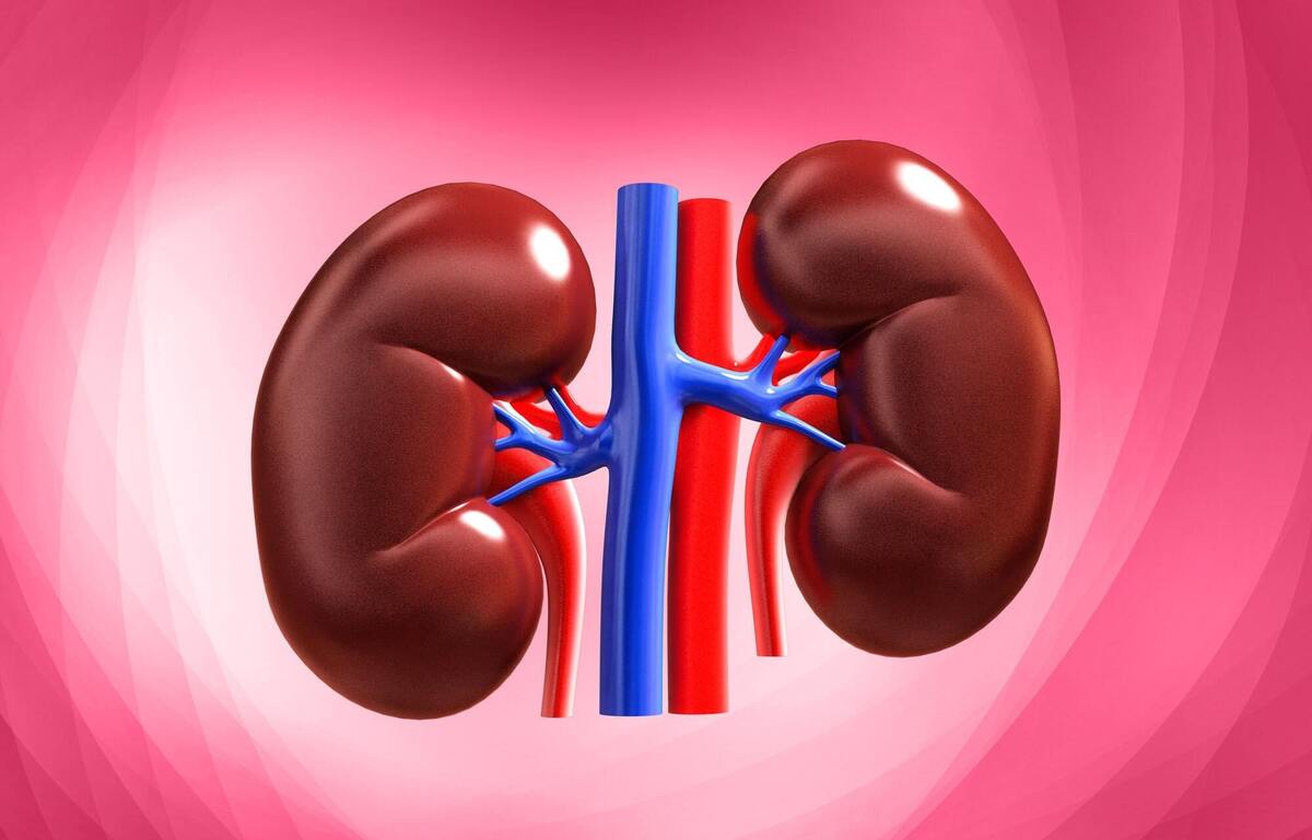 مشکلات کلیه را با این روش های راحت از بین ببرید