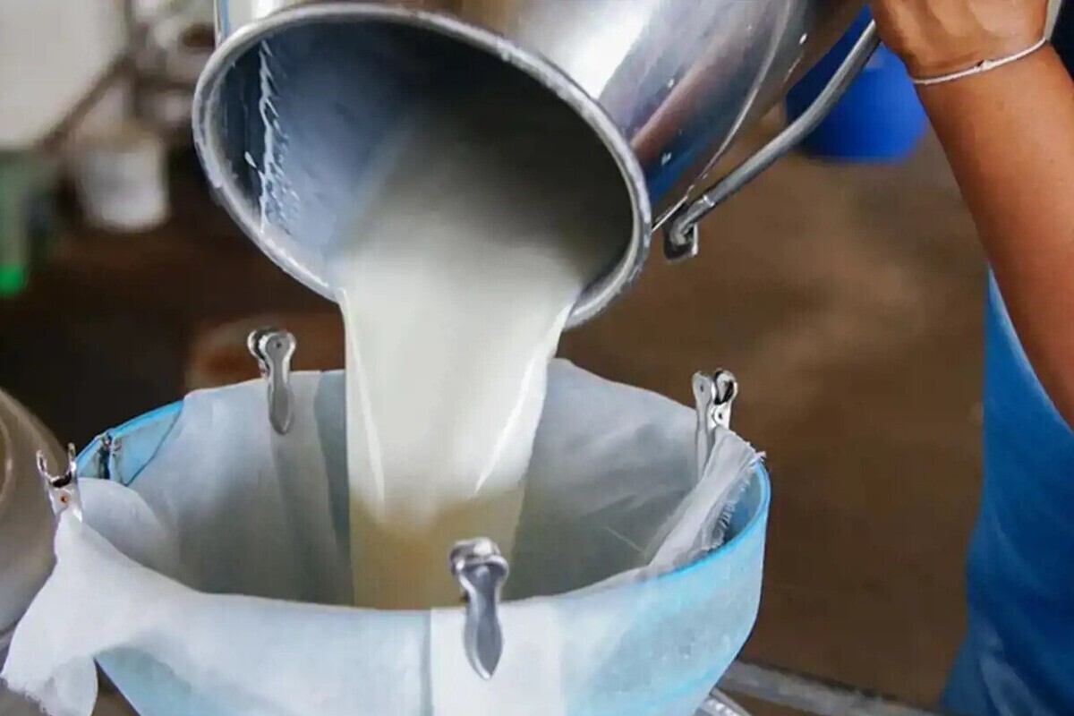 افزایش ۳۰ درصدی قیمت شیر خام