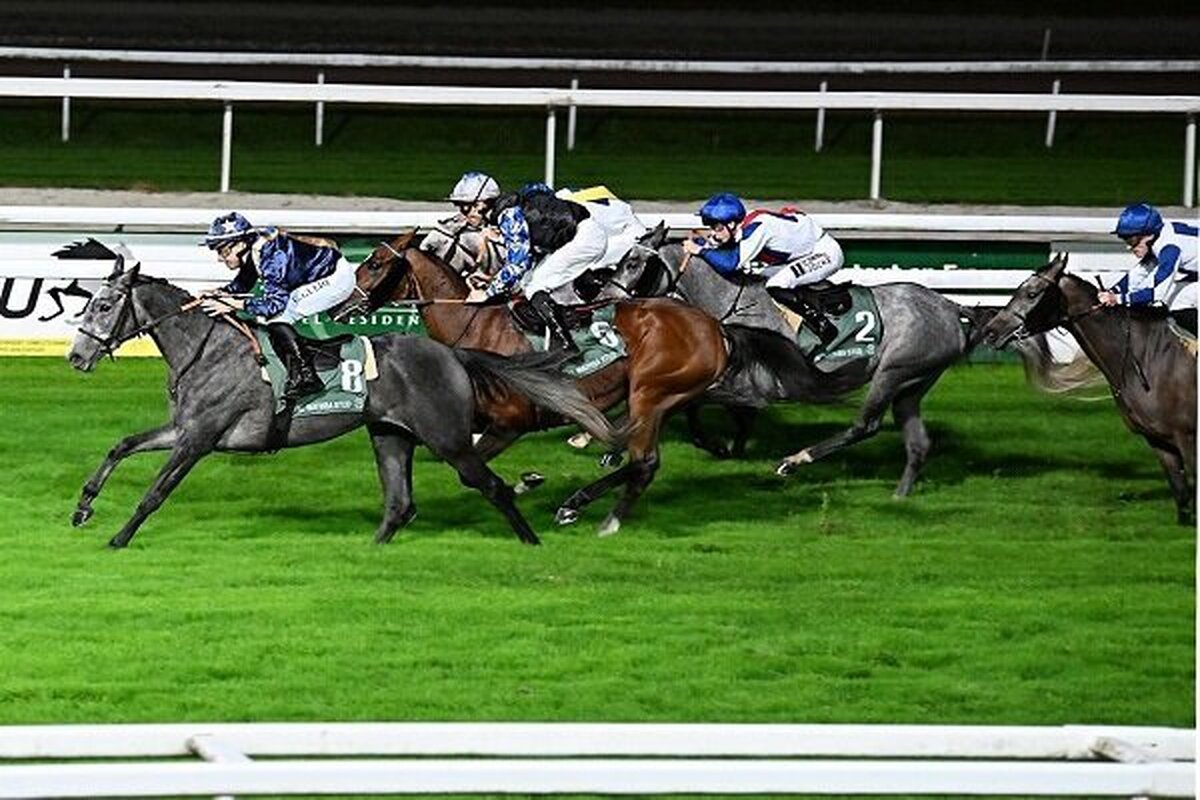 اسب ایرانی در مسابقه جایزه بزرگ فرانسه اول شد + عکس