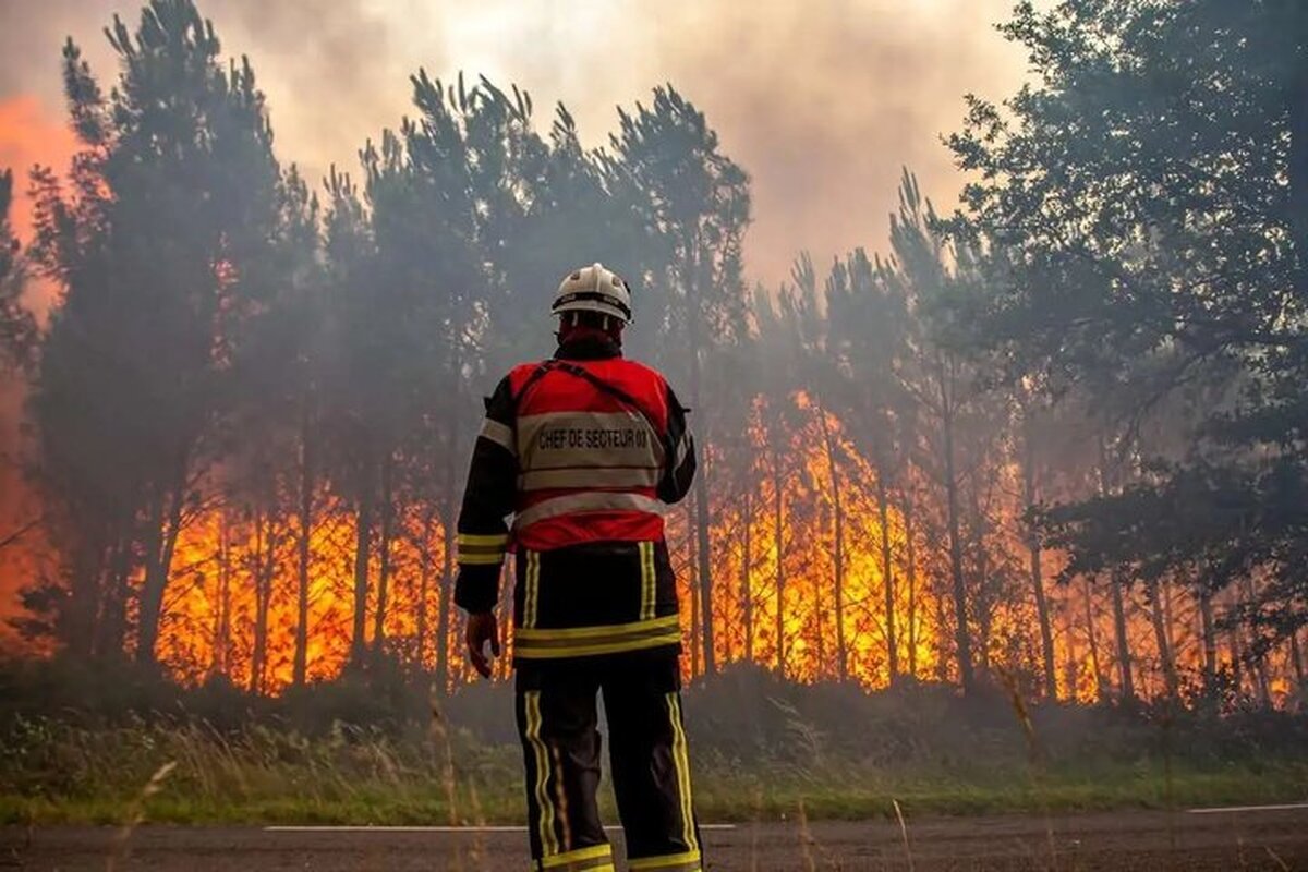 کدام کشورها برای خاموش کردن آتش جنگل‌های هیرکانی اعلام آمادگی کردند؟