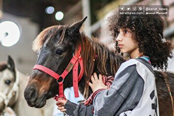 تصاویر| جشنواره زیبایی اسب کاسپین در انزلی