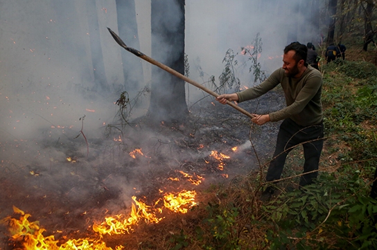 ساجدی‌نیا: آتش‌سوزی جنگل‌های الیت مهار شده است