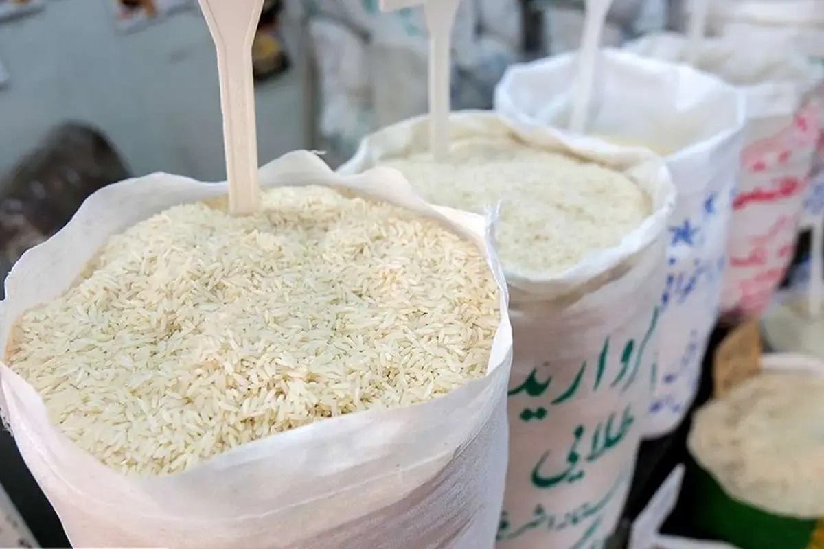 خداحافظی برنج با ارز ترجیحی؛ بازار به تعادل می‌رسد؟