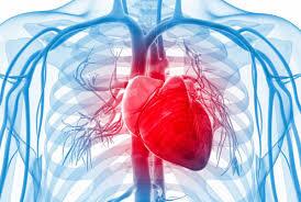 با این خوراکی ها قلب شما فول انرژی می شود