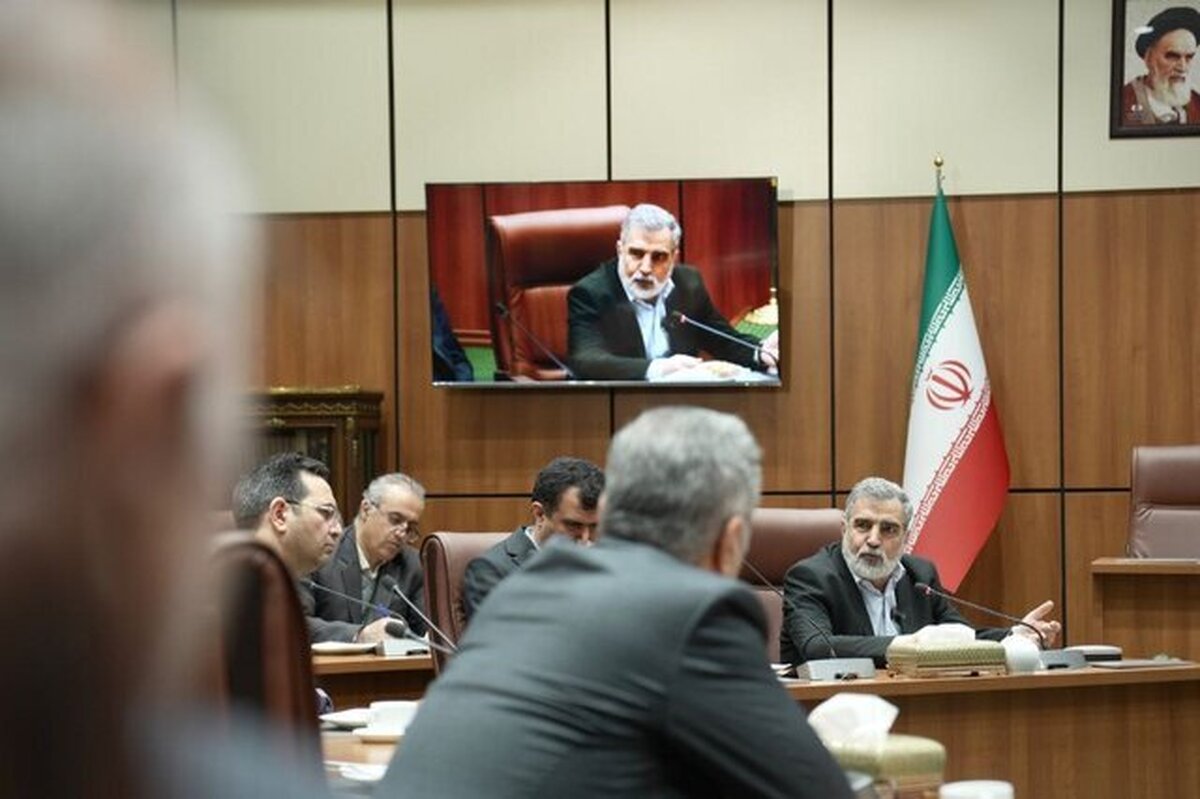 رشد چشمگیر صنعت هسته‌ای از منظر تحقیقات و صنعتی سازی