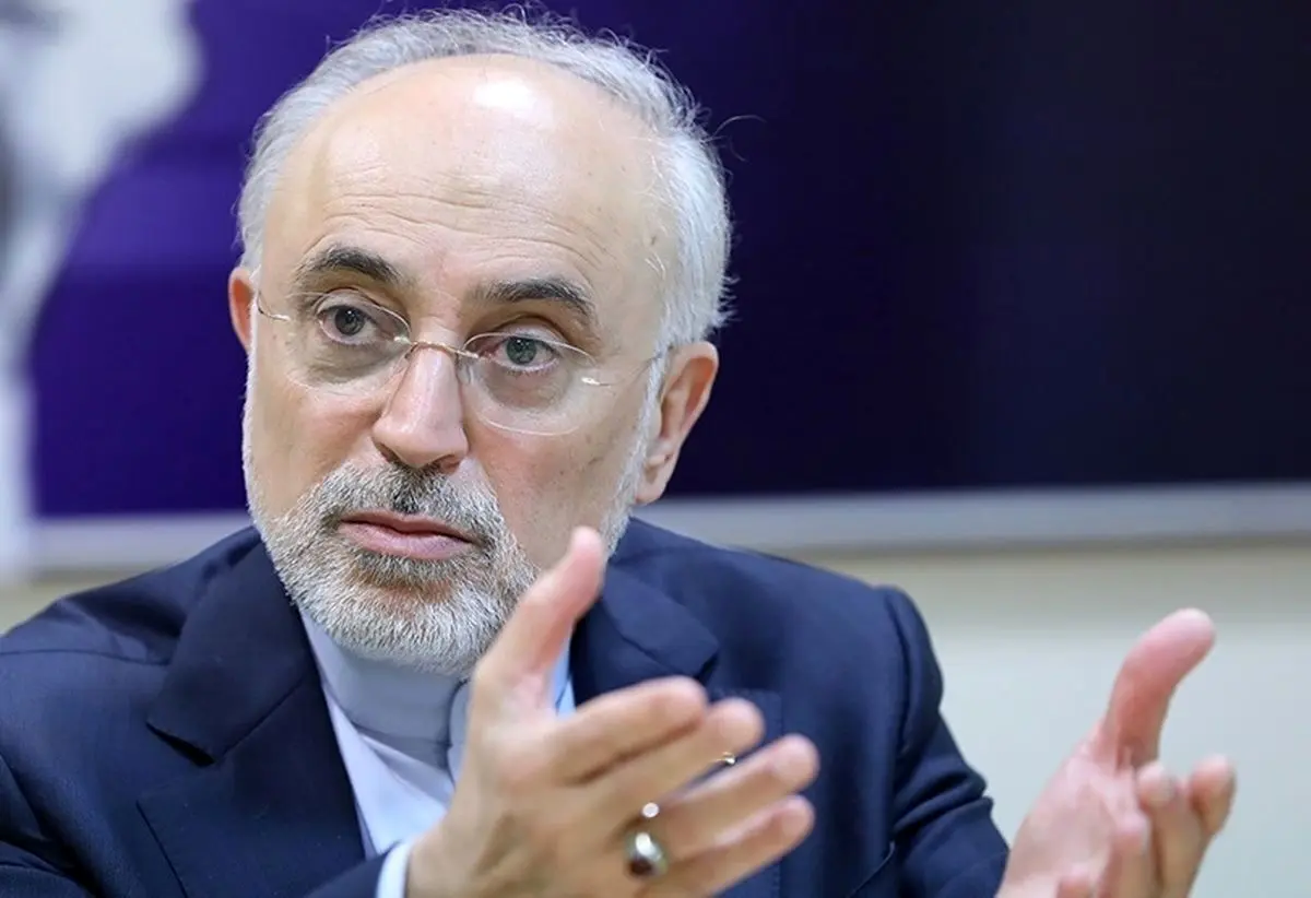 پیشنهاد صالحی برای مذاکرات ایران و آمریکا