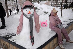 تصاویر| جشن آدم برفی در آخرین روزهای پاییزی