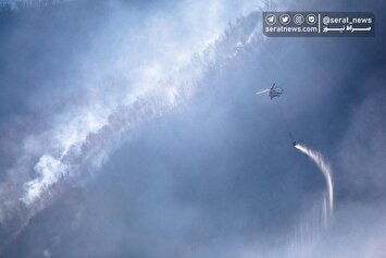 تصاویر| ۲۳ روز بعد از آتش در جنگل‌های منطقه الیت