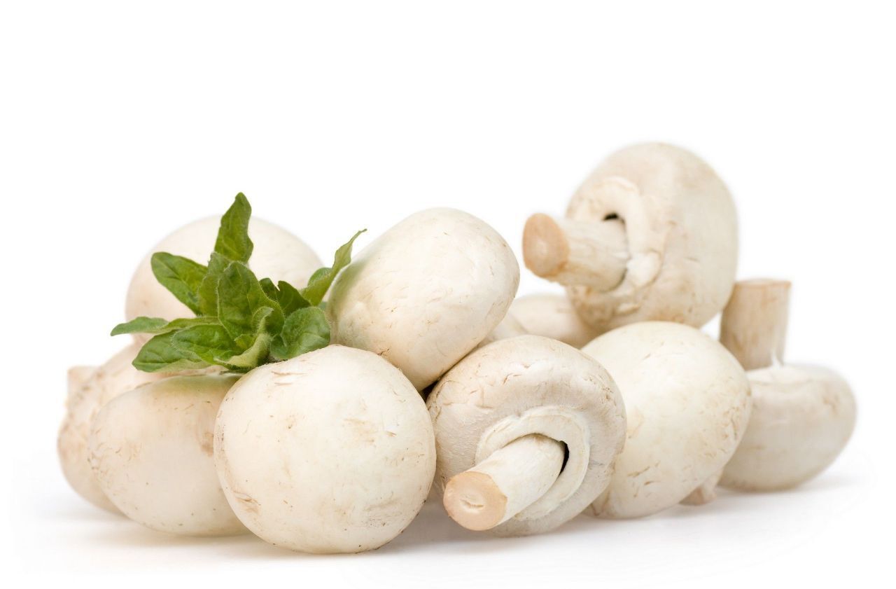 فواید شگفت‌انگیز قارچ‌ها برای تقویت قلب