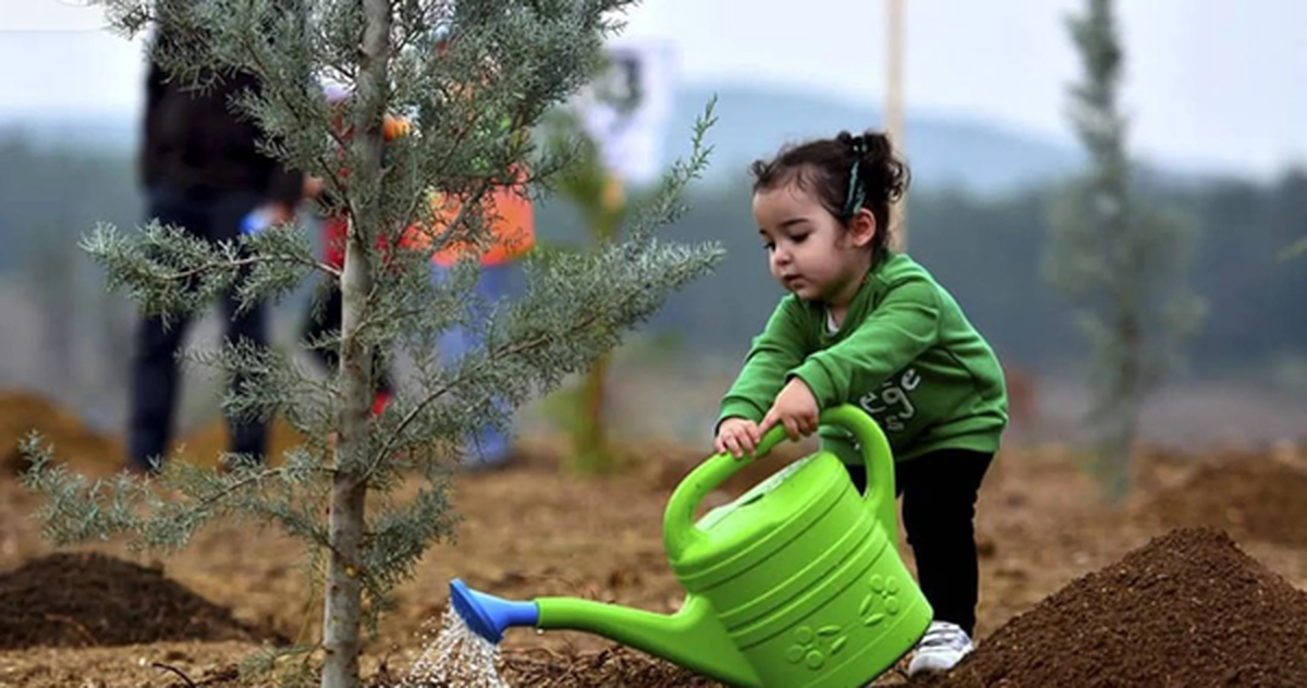 عکس/ کاشت نهال توسط قاضی‌القضات