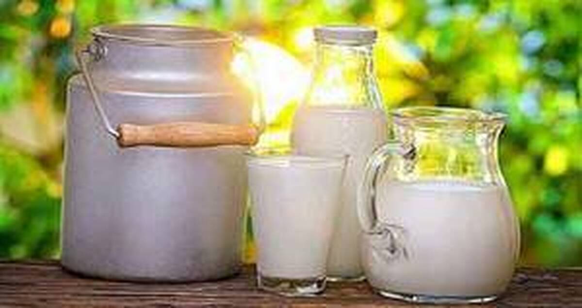 فواید فصلی غذا خوردن چیست؟