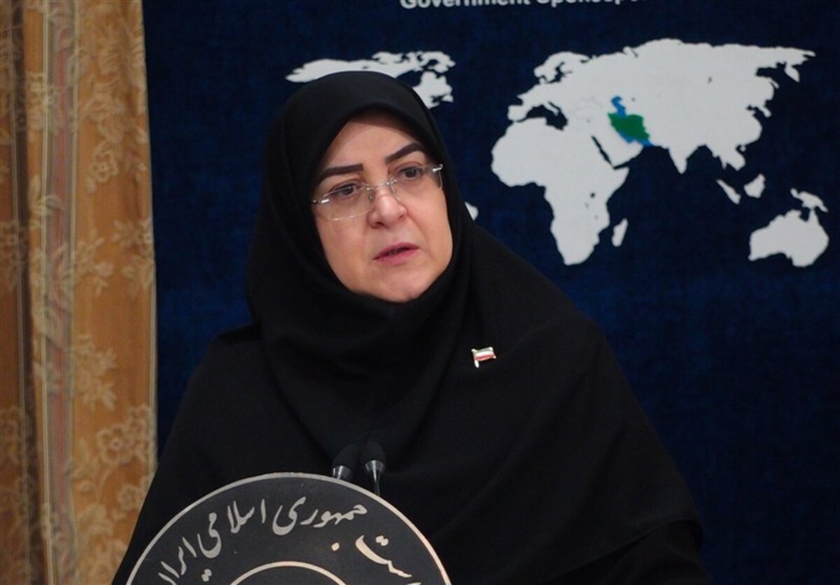 واکنش سخنگوی دولت به عذرخواهی پزشکیان از مردم