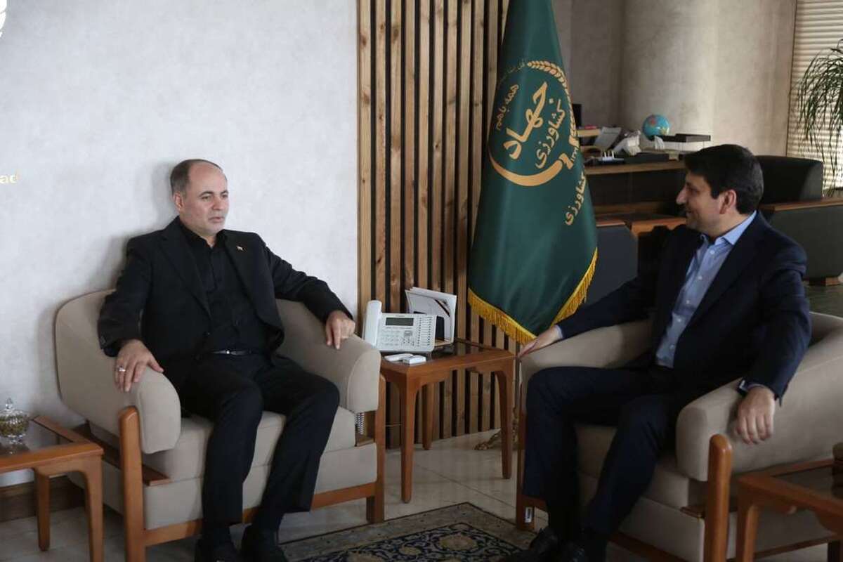 واردات برنج برای ۴ ماه ممنوع شد