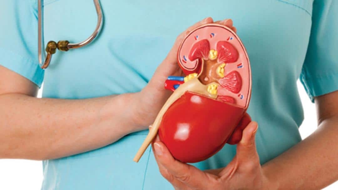 خوراکی‌های شگفت‌انگیز برای حفظ سلامت کلیه