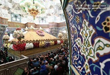 تصاویر| گل‌آرایی ضریح مطهر حرم حضرت معصومه (س)