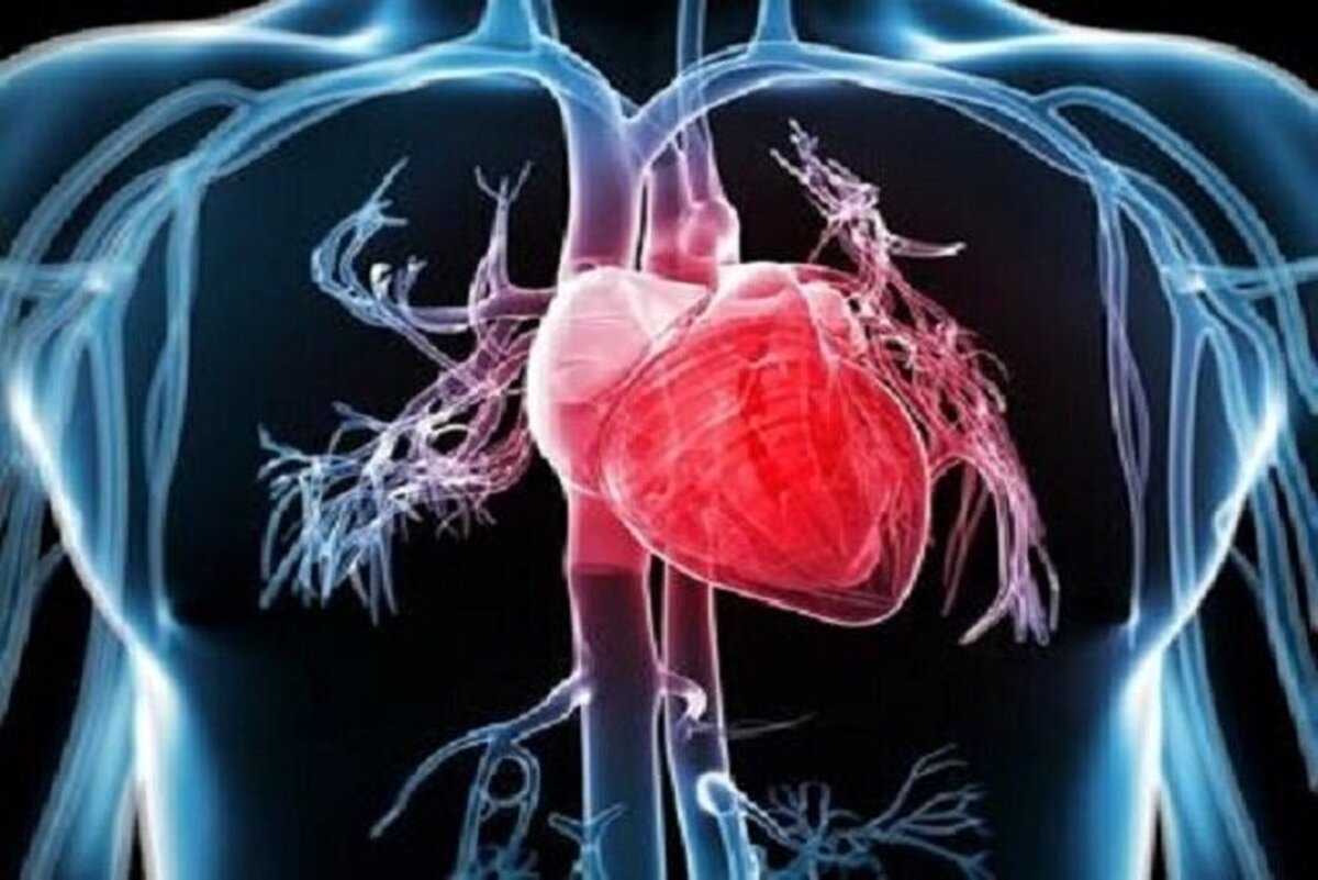 مصرف این میوه سلامت قلب را تضمین می‌کند