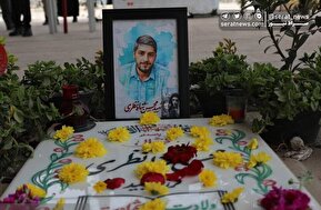 تصاویر| بهار در قطعه ۴۲