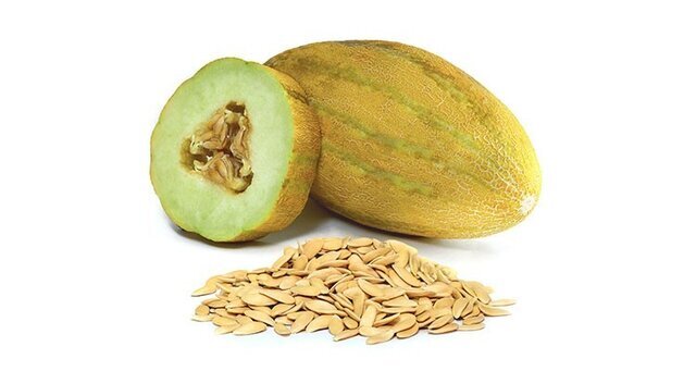 فواید فصلی غذا خوردن چیست؟