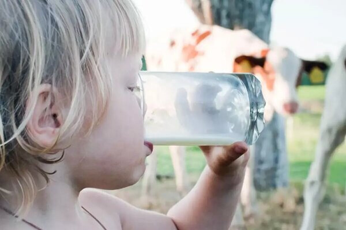 آخرین جزئیات تب کریمه کنگو در کشور