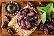 خرما؛ میان‌وعده‌ای سرشار از انرژی و سلامت