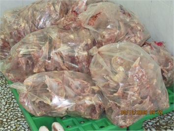 تصویر شماره 5 اسکلت هائی که جهت استحصال خمیر جمع آوری شده است