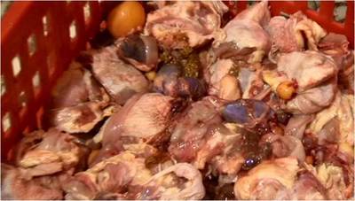 تصویر شماره 4 نمونه از امعاء و احشائی که در مرغ هلندی حتما وجود دارد
